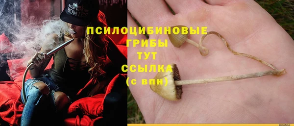 метадон Алзамай