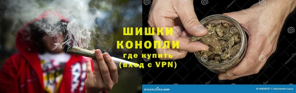 PSILOCYBIN Алексеевка
